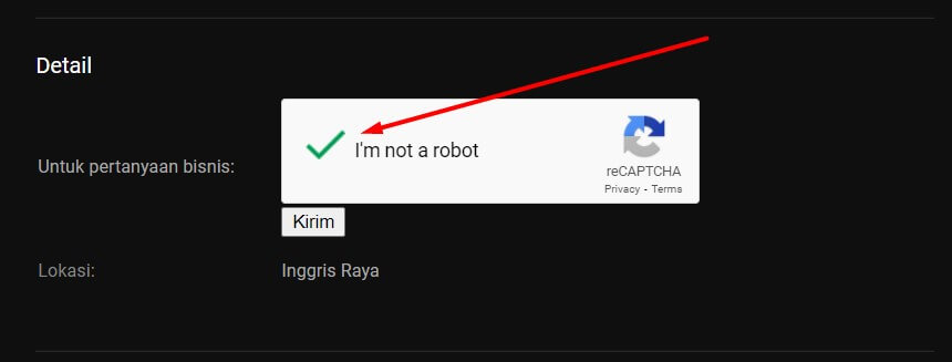 Aplikasi Captcha Untuk Melihat Email Channel Youtube