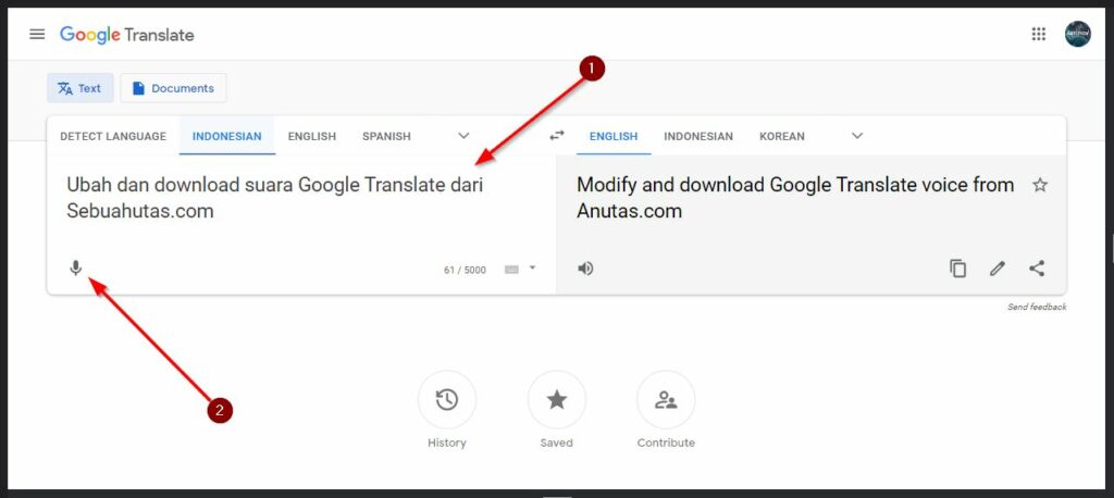 Putar Suara Di Situs Google Translate